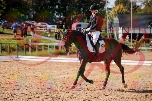 2026_10_03_Siefer-Hof_125544_Z63_62878487 | Professionelle Reitsport-, Turnier- und Eventfotografie von Robert Broda. Galerien mit ausgewählten und bearbeiteten Bildern direkt online ansehen und bestellen.
