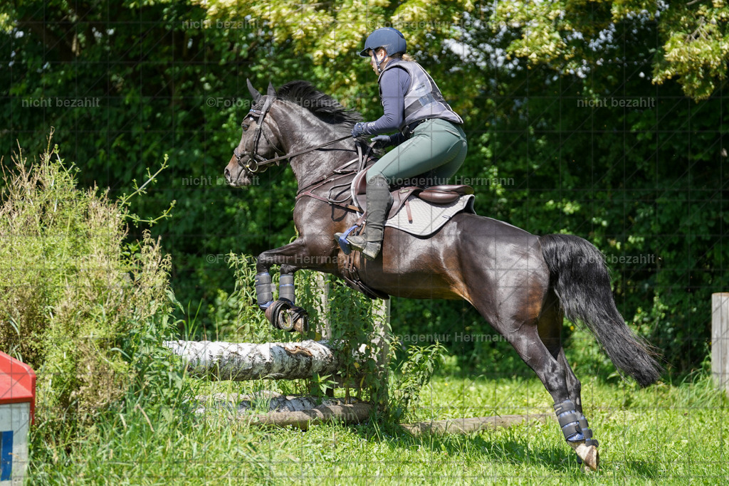 20240622-FAH06774 | Turnierfotografen Bayern, Reitsportbilder aus dem Geländekurs mit Felix Etzel auf dem Gut Waitzacker 2024