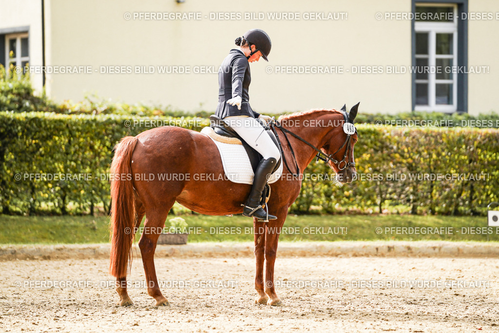 DSC00789 | Pferdegrafie