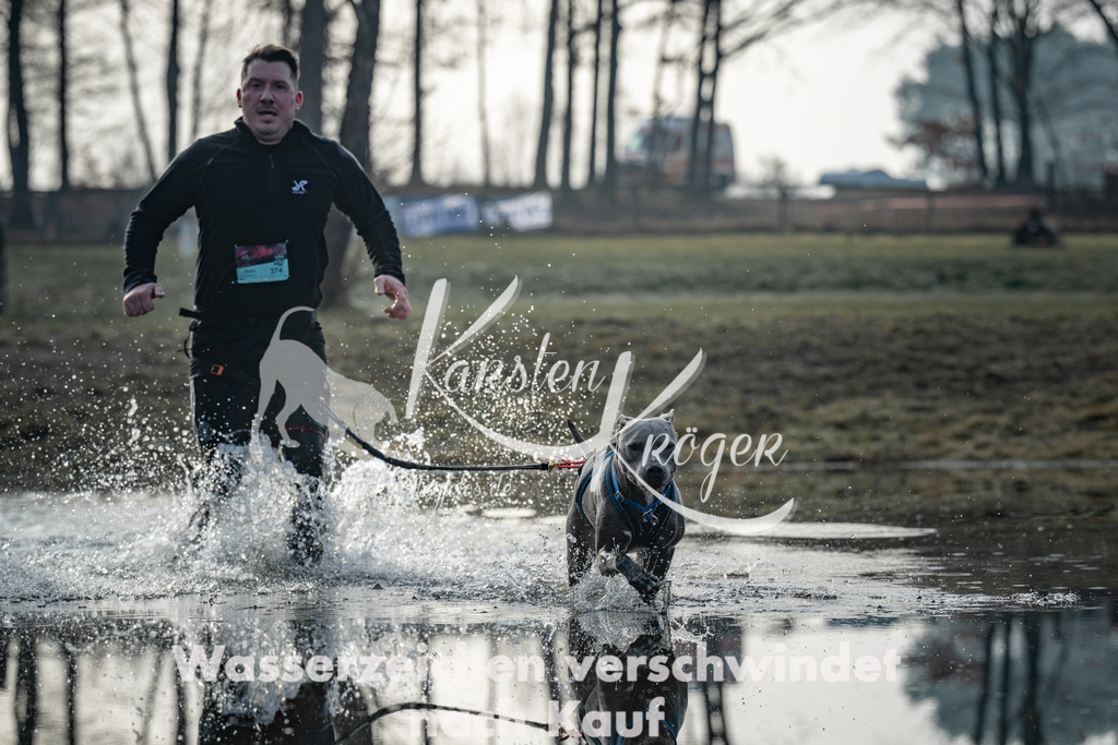 0832_ZZ97294 | kk-dogfotos