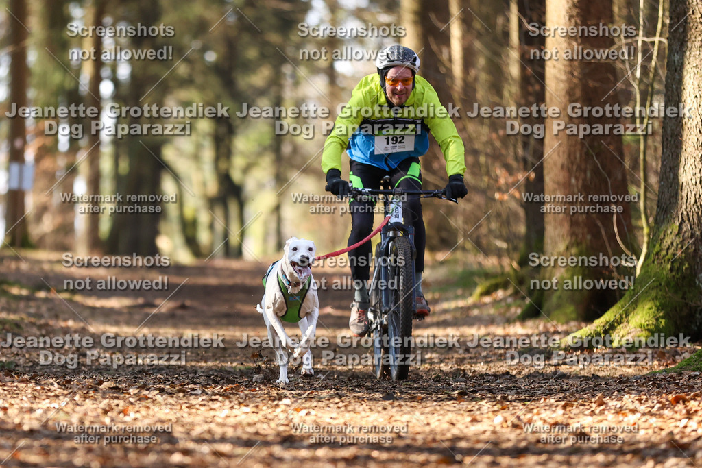 Dog Paparazzi - VCC26-996 | Dog Paparazzi Jeanette Grottendiek Fotografie & Videografie - Realisiert mit Pictrs.com
