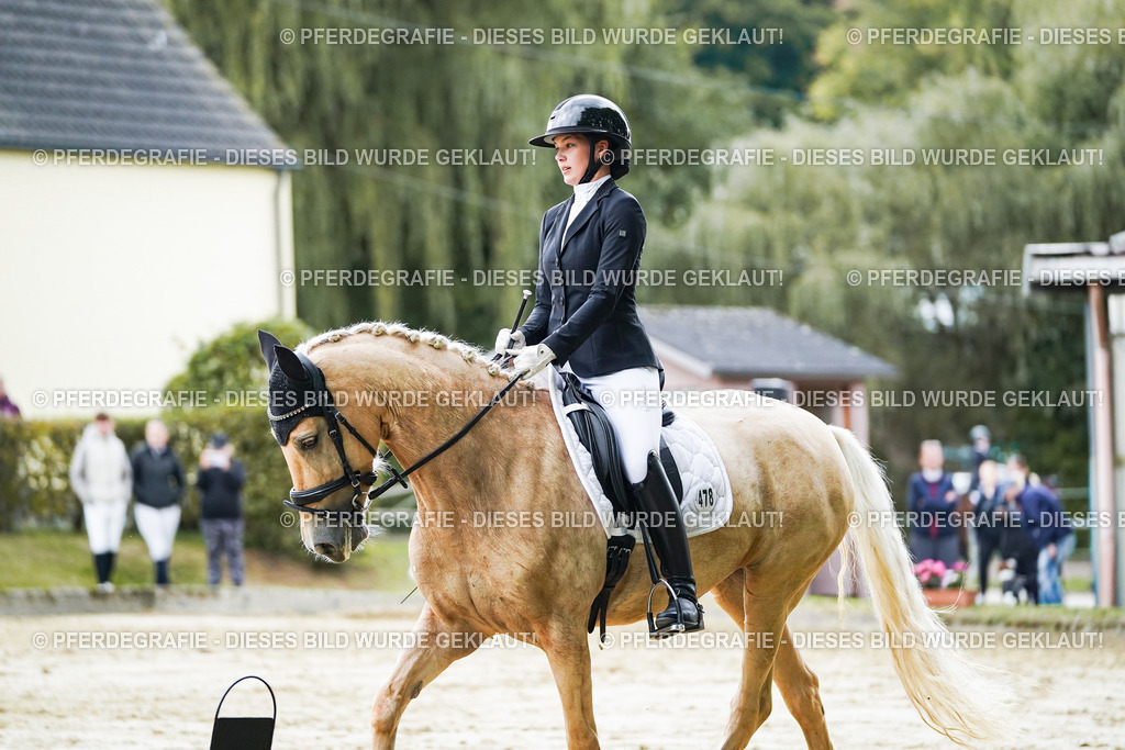 DSC06680 | Pferdegrafie