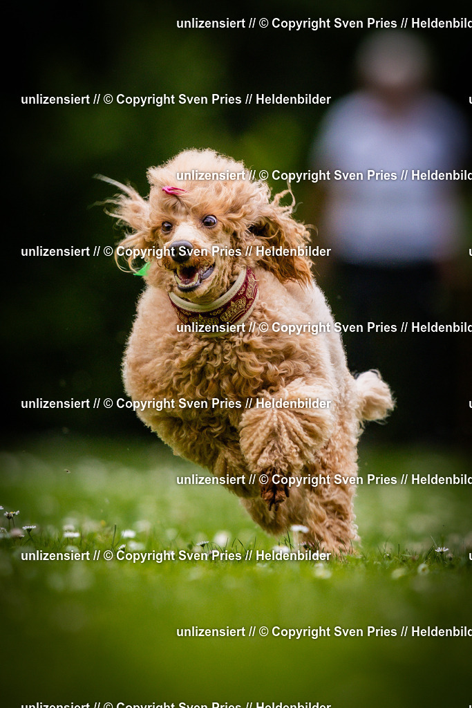 Sven Pries | 2025-05-29 - Pudelrennen KA-Durlach - Realisiert mit Pictrs.com