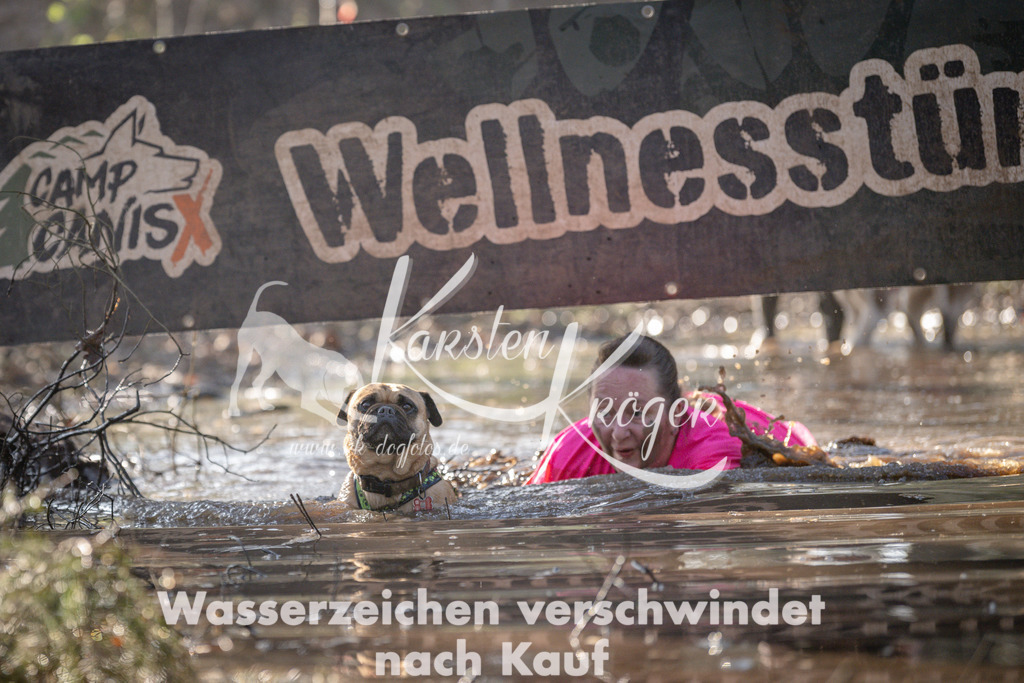 0851DSC_4310 | kk-dogfotos