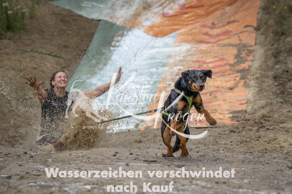 1650_ZZ90757-Bearbeitet | kk-dogfotos
