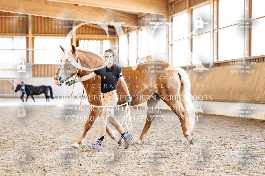CK906726 | Turnierfotografie Pferdefotografie Trier Rheinland-Pfalz Pferdesport Reitsport Tierfotografie Sportfotografie Pferdevideo Pferdevideografie Equestrianvideography equestrianphotography  - Realisiert mit Pictrs.com
