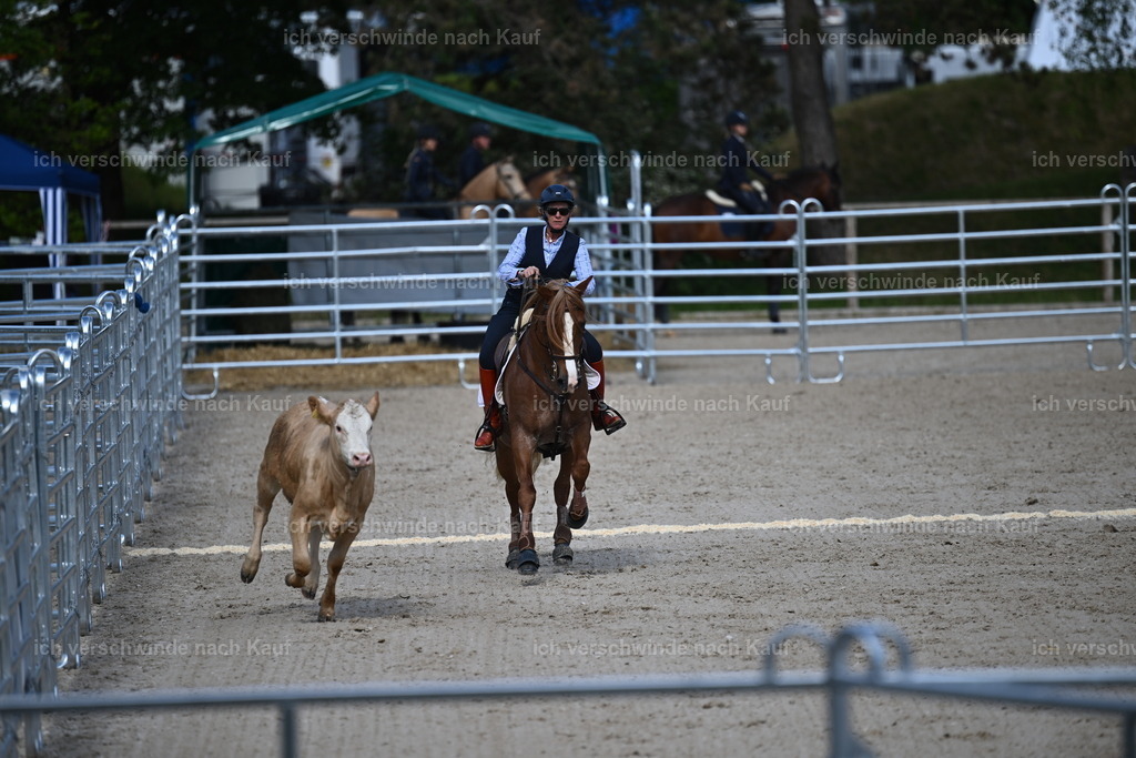 PI26_COW_Sara Landvogt226_7157.JPG | working equitationturnier fotograf videograf stoibphotography marixx film working equitation deutschland reitsport turnierfotografie eventfotografie equestrian events