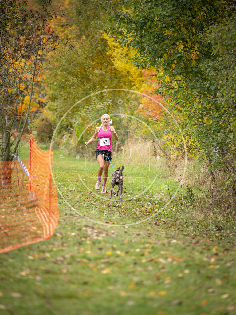 Pfotenfotografie_DV3A2329 | Hundefotografie, Tierfotograf, Pfotenfotografie, Fotoshooting Hund, Hunde Portrait, Hundesport, Hundeportraits, Heideshooting, Hunde, Sportfotograf, Hundefotograf, Turnierhundsport, THS,  - Realisiert mit Pictrs.com