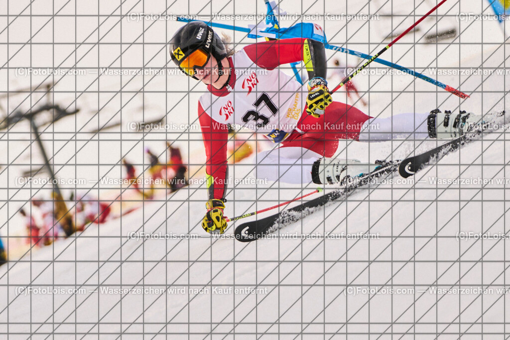 ALP8116_Herrn-FIS-GS-I_Lackenhof-WY_Gstrein Niklas | Internationaler FIS GiantSlalom der Herrn auf der Distelpiste in Lackenhof am Mo 10. März 2025.  Österreich, LSV-NÖ, Sportunion Waidhofen/Ybbs (2035).