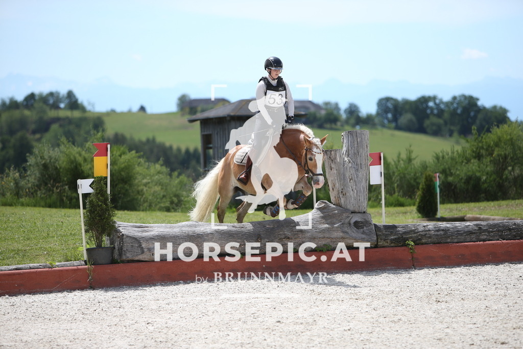 PP014707 | Willkommen bei Brunnmayr - Design & Fotografie – Ihrem Spezialisten für Reitturniere und Pferdeveranstaltungen in Oberösterreich, Salzburg und Bayern! Seit über 17 Jahren sind wir leidenschaftlich dabei.