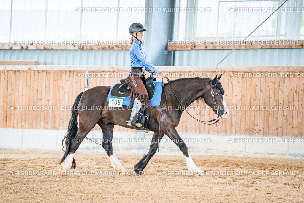 DSC09727 | Pferdegrafie