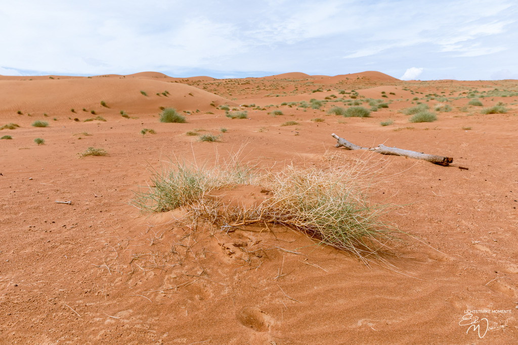 Beduinencamp bei Al Salam Desert Camp, Al Qabil, Bidiyya, Oman | Herzlich willkommen auf meiner Seite! Ich bin Elke Wallnisch, Deine Fotografin für lichtstarke Momente. Der Name steht für alles, was mich mit der Fotografie verbindet: Das Licht und seine machtvolle Wirkung auf eine Situation oder unsere Stimmung - Realisiert mit Pictrs.com