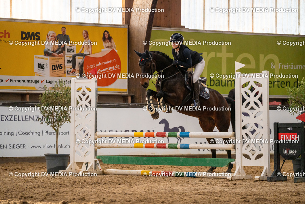 Kranichstein Tag 1-351 | dv-media-shop - Realisiert mit Pictrs.com