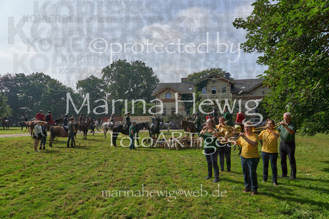 09-23 JAgd PerdölDSC02186_Marina Hewig | Fotografie, FotoArt, PferdesportArt, Pferdesportfotografie, Landschaftsfotografie, Reisefotografie, Reise, Pferde - Realisiert mit Pictrs.com