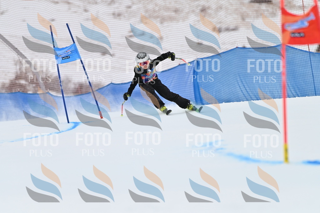 BGV_9648 | holidayphoto