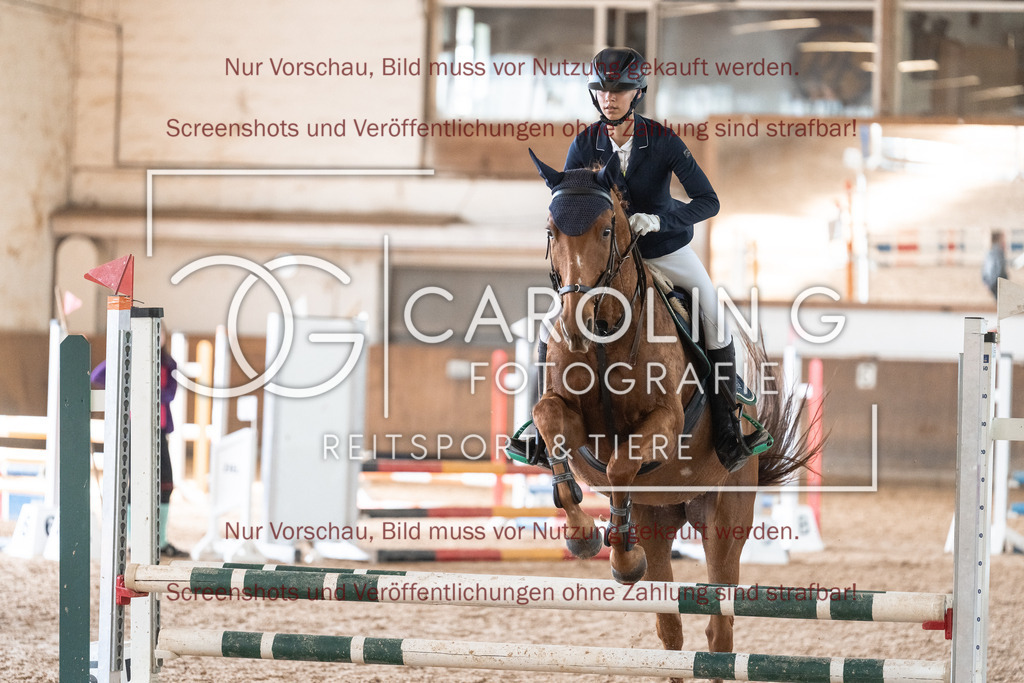 DSC00802 | Reitturnier_Göppingen_April_2026, Olivia_Bisch, quebec_71