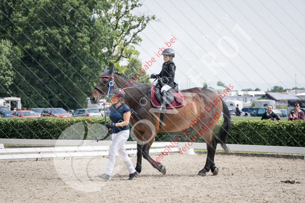 PIR00050 | Sport-, Event- und Tierfotos in Profiqualität. Einfach auswählen, bestellen und herunterladen. Dein Moment – perfekt festgehalten.