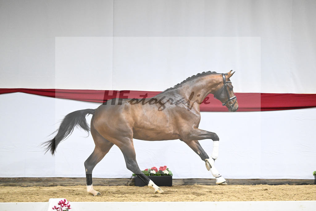Kat-Nr. 60 v. Valverde_Schoenland_63221835 | hf-fotografie - Realizzato con Pictrs.com