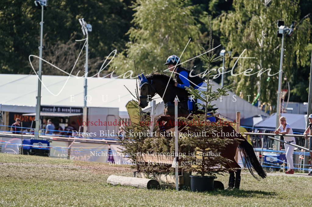 DSC_3126 | Pferde- und Turnierfotografie in Westsachsen. Pferdeportraits, Auftragszeichnungen und intuitive Kunst.