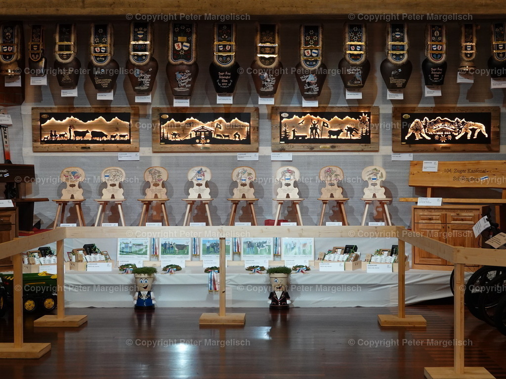 DSC06309 | Schwingen - Realisiert mit Pictrs.com