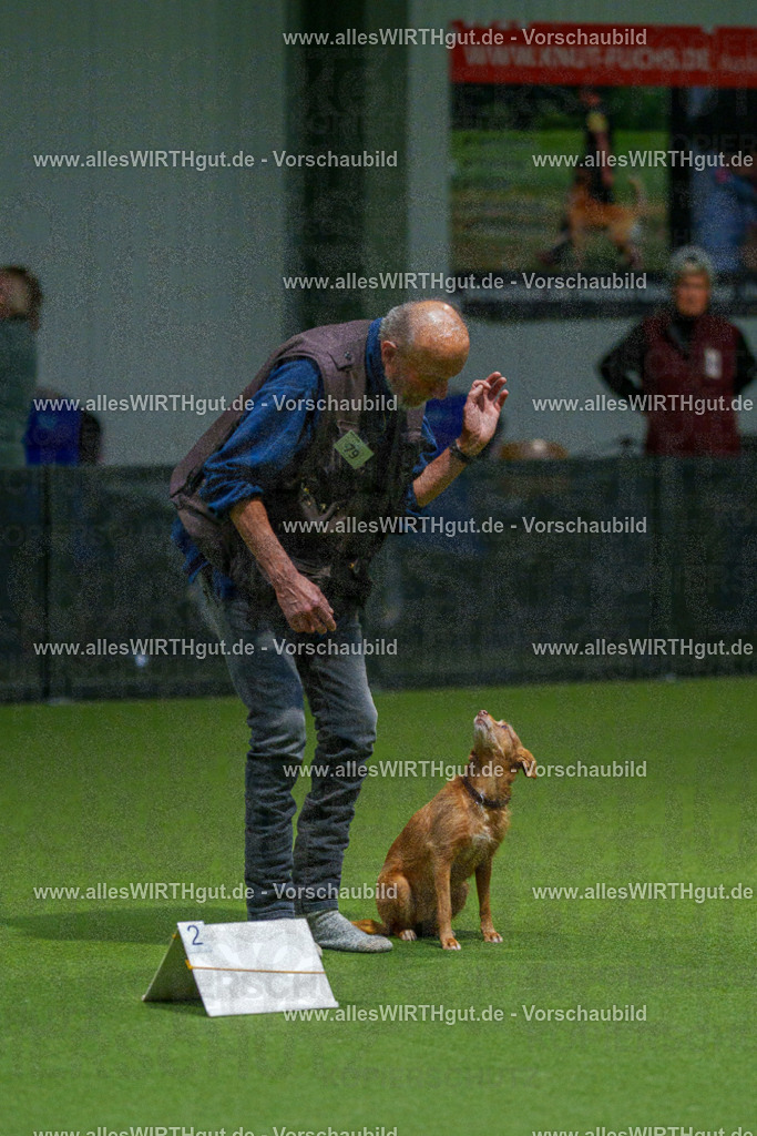 7R507590 | Professionelle Tierfotografie in Mönchengladbach von Daniel Wirth (allesWIRTHgut). Liebevolle & natürliche Bilder von Hunden & Katzen für unvergessliche Erinnerungen.