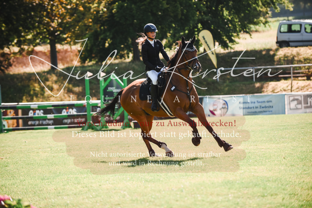 DSC_2435 | Pferde- und Turnierfotografie in Westsachsen. Pferdeportraits, Auftragszeichnungen und intuitive Kunst.