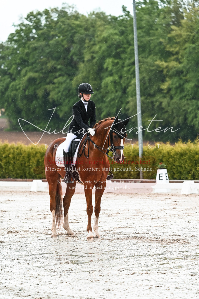 DSC_4318 | Pferde- und Turnierfotografie in Westsachsen. Pferdeportraits, Auftragszeichnungen und intuitive Kunst.
