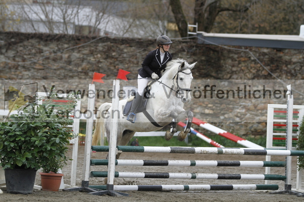 _MG_3569 | equestrian-live-com