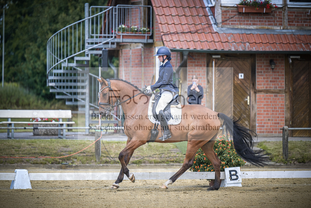 DOS_3944 | Entdecke hochwertige Reitturnierfotos von Foto Oger. Professionell, emotional und authentisch – jetzt Lieblingsmomente im Shop bestellen.Deutschlandweite Turnierfotografie. - Realisiert mit Pictrs.com