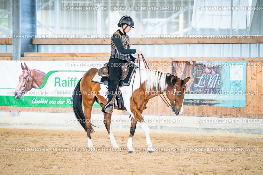 DSC02444 | Pferdegrafie