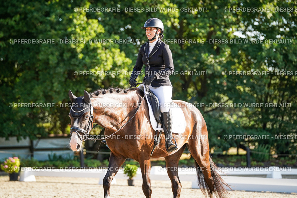 DSC07963 | Pferdegrafie