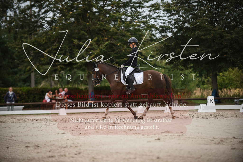 DSC_8138 | Pferde- und Turnierfotografie in Westsachsen. Pferdeportraits, Auftragszeichnungen und intuitive Kunst.