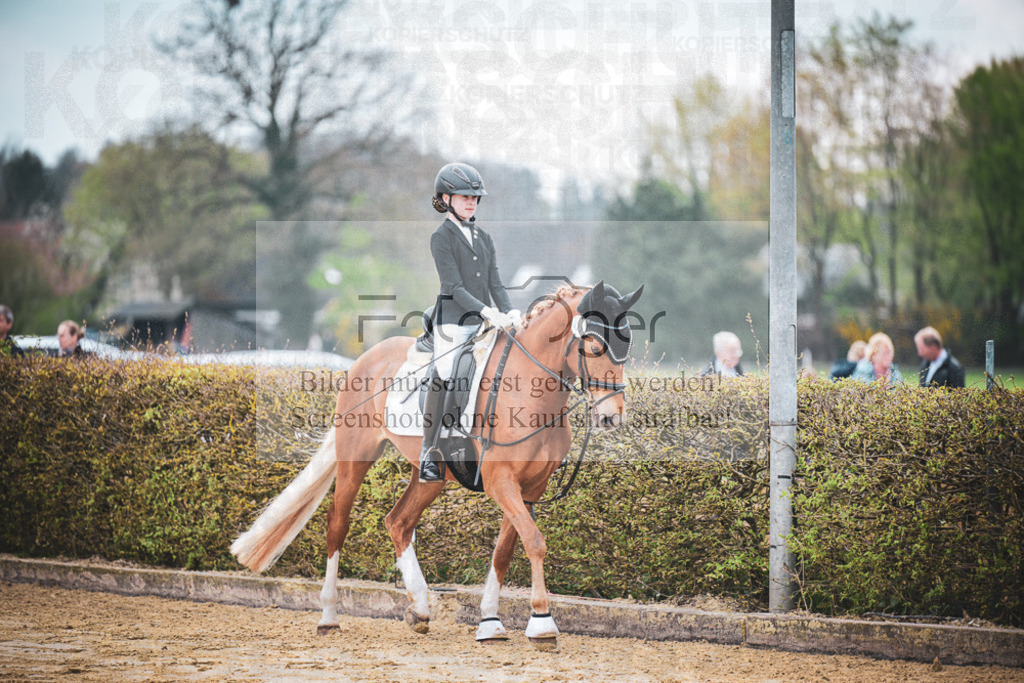 DOS_5381 | Entdecke hochwertige Reitturnierfotos von Foto Oger. Professionell, emotional und authentisch – jetzt Lieblingsmomente im Shop bestellen.Deutschlandweite Turnierfotografie. - Realisiert mit Pictrs.com