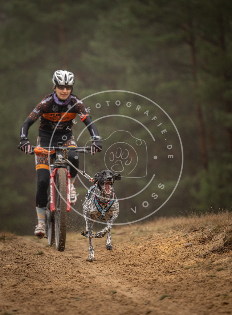 Pfotenfotografie_DV3A3147 | Hundefotografie, Tierfotograf, Pfotenfotografie, Fotoshooting Hund, Hunde Portrait, Hundesport, Hundeportraits, Heideshooting, Hunde, Sportfotograf, Hundefotograf, Turnierhundsport, THS,  - Realisiert mit Pictrs.com