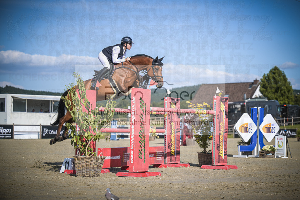 DOS_1680 | Entdecke hochwertige Reitturnierfotos von Foto Oger. Professionell, emotional und authentisch – jetzt Lieblingsmomente im Shop bestellen.Deutschlandweite Turnierfotografie. - Realisiert mit Pictrs.com