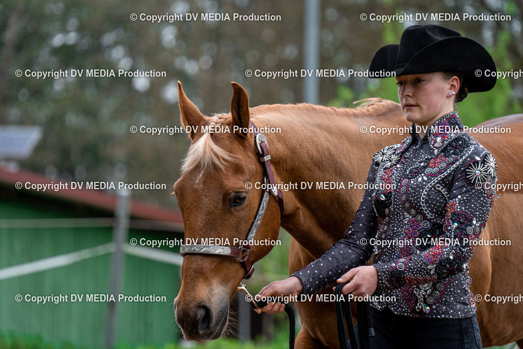 BA300101 | dv-media-shop - Realisiert mit Pictrs.com