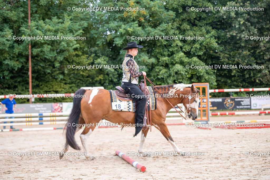 ZS3_4743 | dv-media-shop - Realisiert mit Pictrs.com