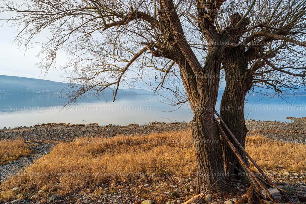 Bodensee von Reichenau | Aussicht von der Insel Reichenau - Realisiert mit Pictrs.com