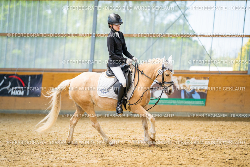 DSC08607 | Pferdegrafie