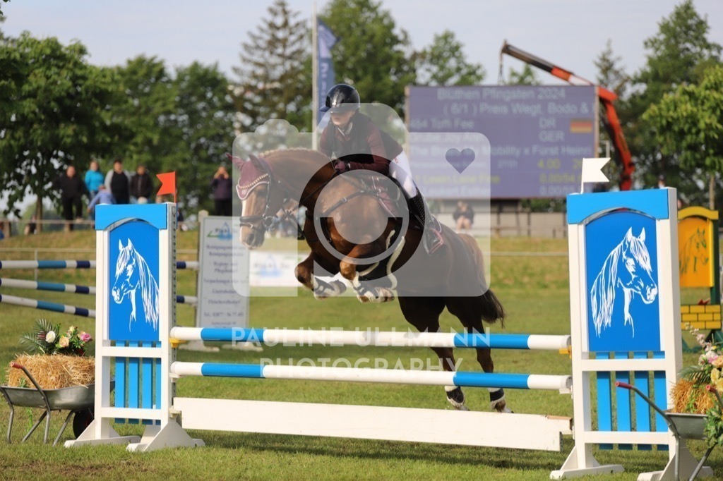 IMG_6837 | Pauline Ullmann Photography - Realisiert mit Pictrs.com