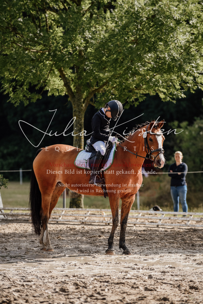 DSC_9109 | Pferde- und Turnierfotografie in Westsachsen. Pferdeportraits, Auftragszeichnungen und intuitive Kunst.