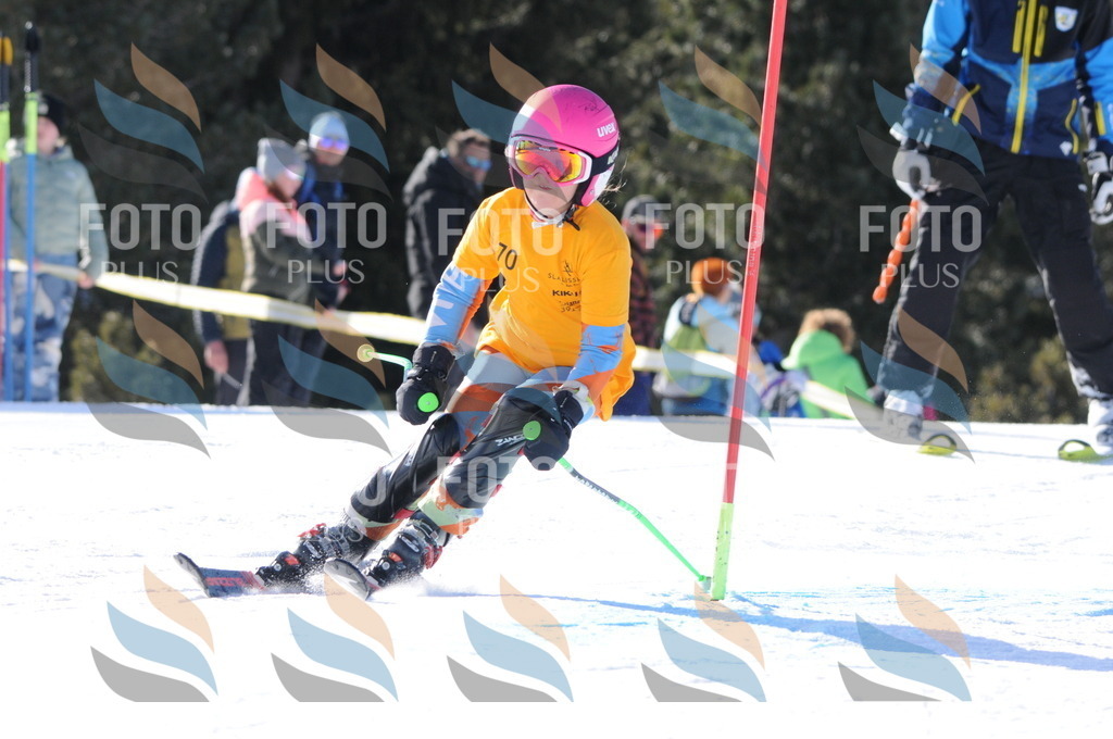 C6952 | holidayphoto