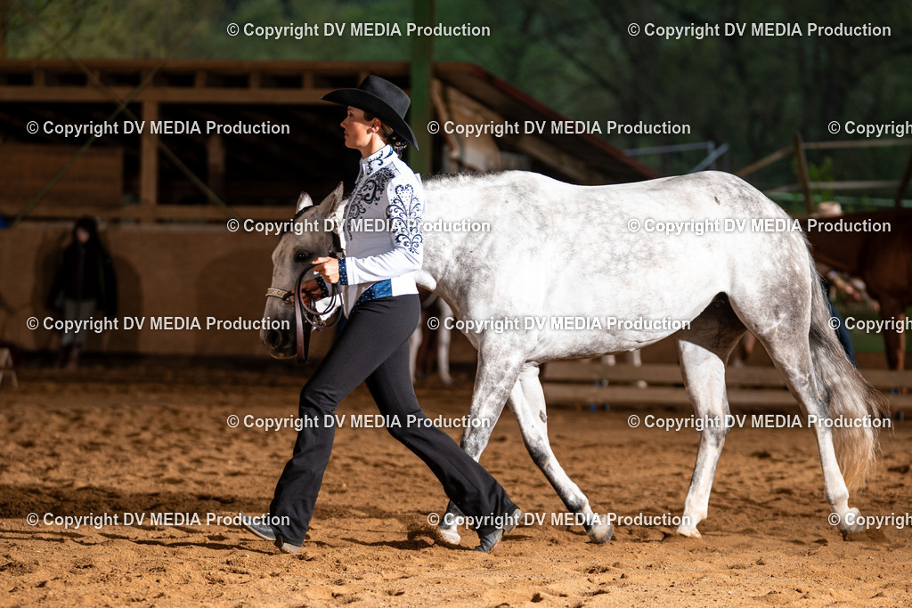 Balingen Tag 3-231 | dv-media-shop - Realisiert mit Pictrs.com