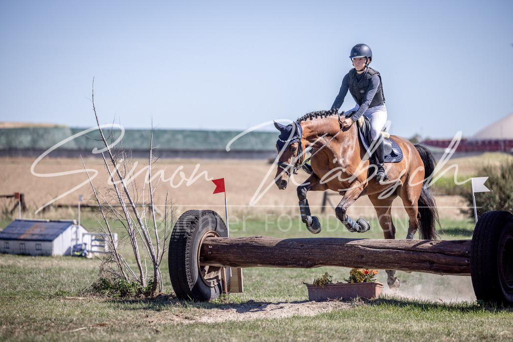 20260906-_3LI3802 | Tierfotografie Pferde, Hunde, Katzen, Haustiere.
Turnierfotografie Reitturniere, Reiten, Springreiten, Dressur in Hanau, dem Main-Kinzig-Kreis und dem Rhein-Main- Gebiet um Frankfurt