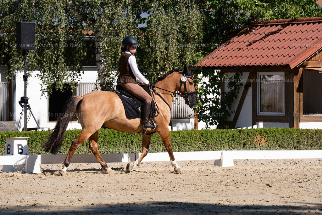 WA_DR_22_SinaFilmArt_IN01288 | working equitationturnier fotograf videograf stoibphotography marixx film working equitation deutschland reitsport turnierfotografie eventfotografie equestrian events