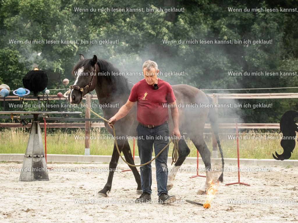 598A7464 | photographylinaismer - Realisiert mit Pictrs.com