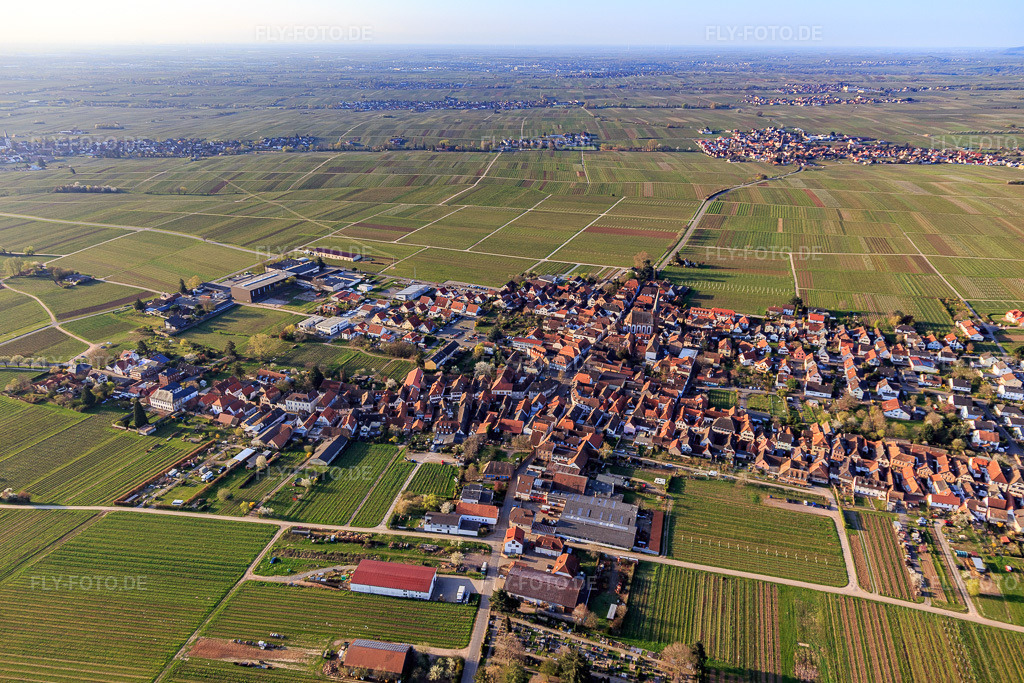 Luftbild: Ortsansicht aus Norden in Rhodt unter Rietburg im Bundesland Rheinland-Pfalz in Deutschland. Foto: IMG_126309.jpg vom 04.04.2021 durch Werner Riehm/FLY-FOTO.de