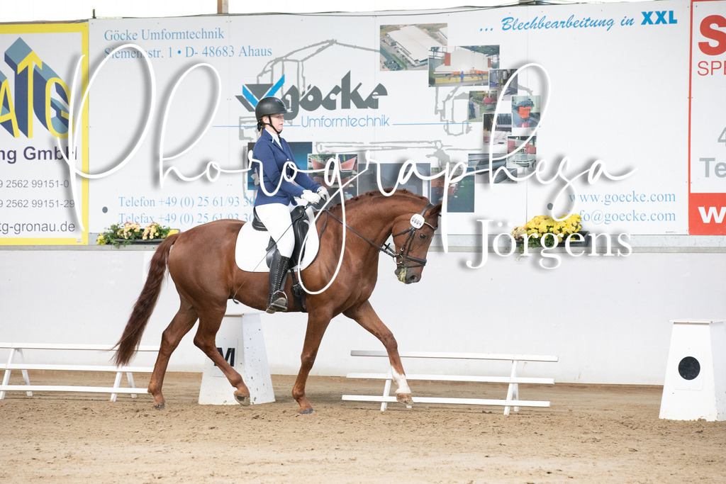 IMG_6015 | photographesa-joergens - Realisiert mit Pictrs.com