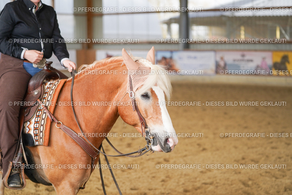 DSC01789 | Pferdegrafie