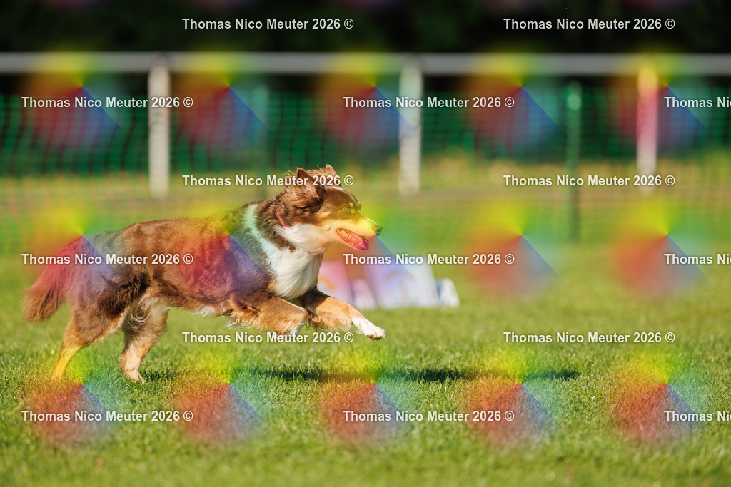 Thomas_Nico_Meuter(C)_04. Oktober 2026_223A3830 | Bild von Thomas Nico Meuter - Realisiert mit Pictrs.com